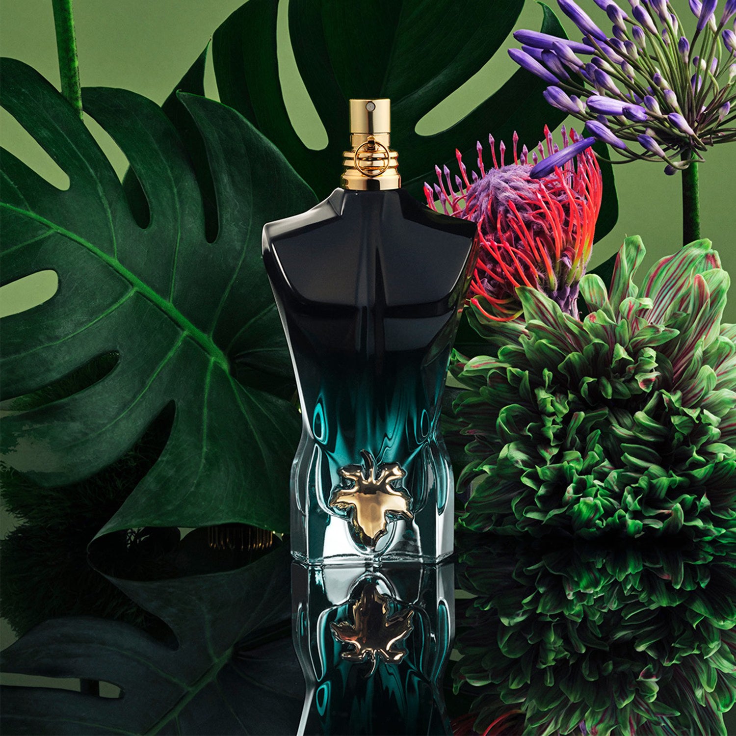 Beau Tropical